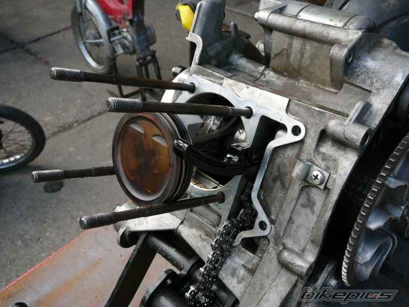 Photo 1141192