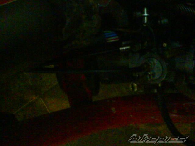 Photo 1141204