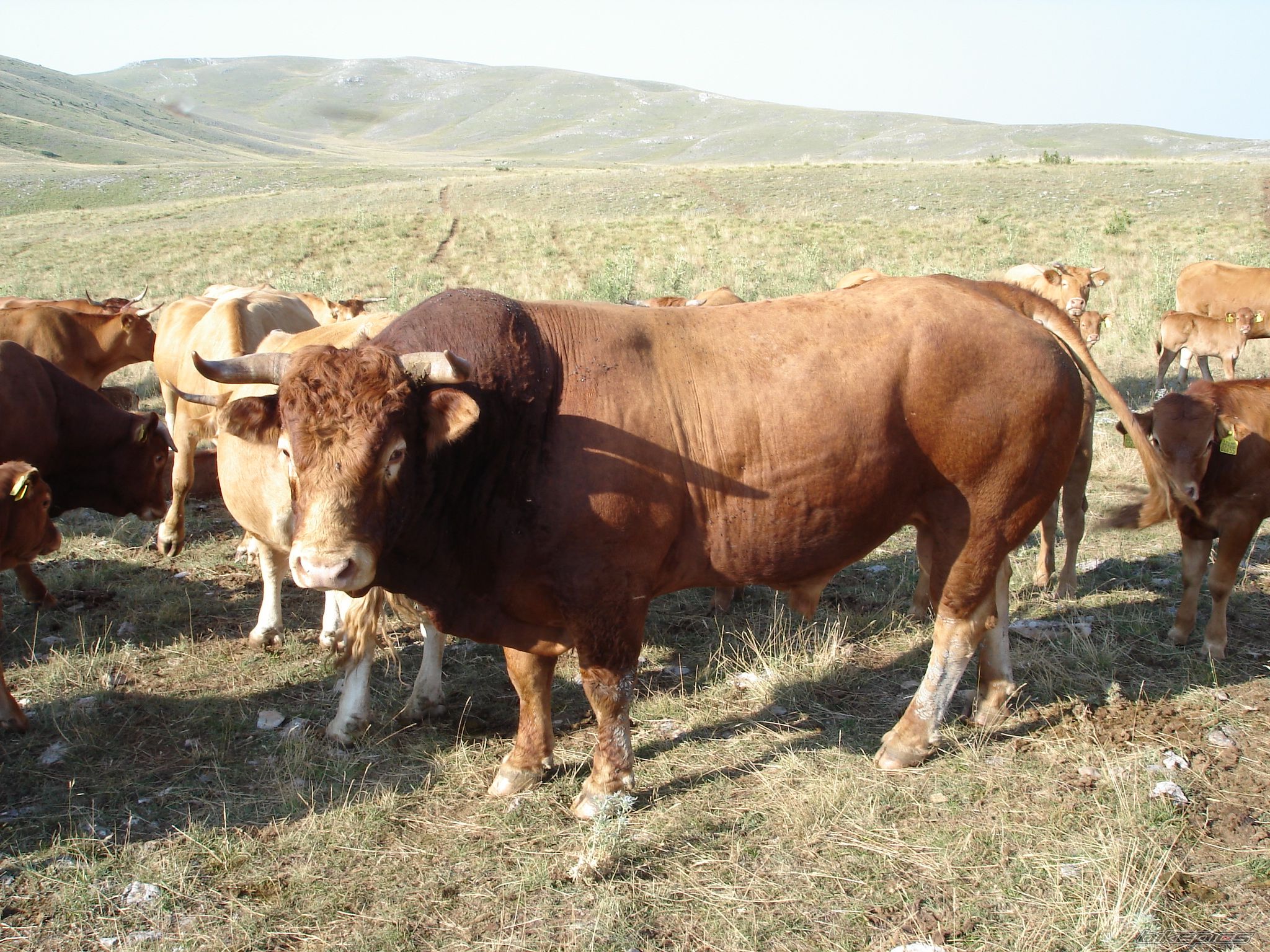 Photo 1141247