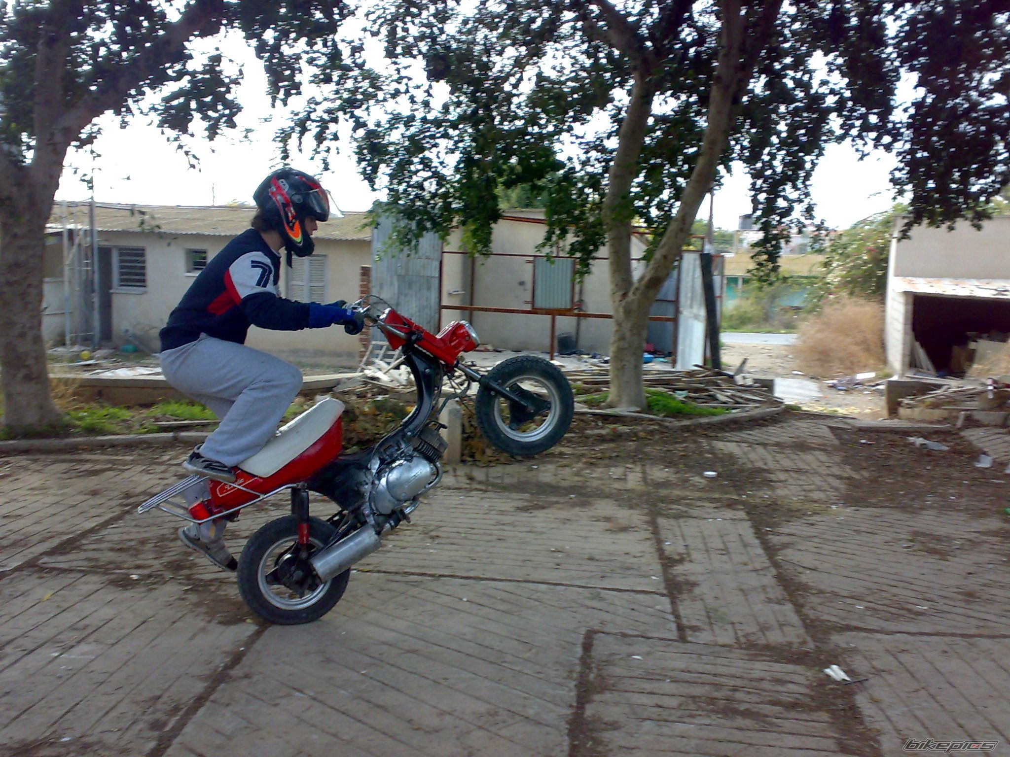 Photo 1141302