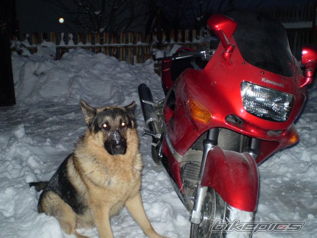Photo 1141303