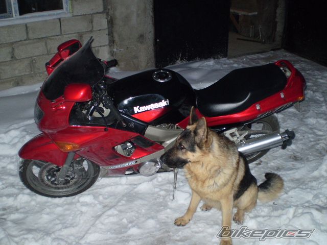 Photo 1141304