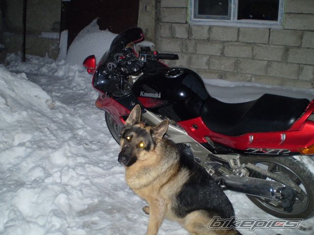 Photo 1141305