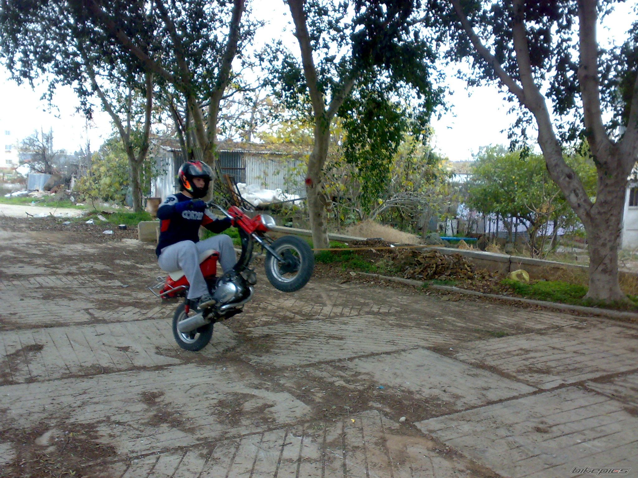 Bike Photo 1141309