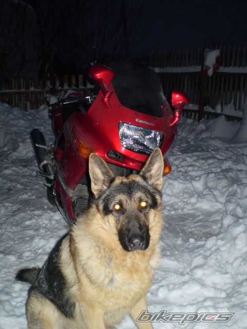 Photo 1141313