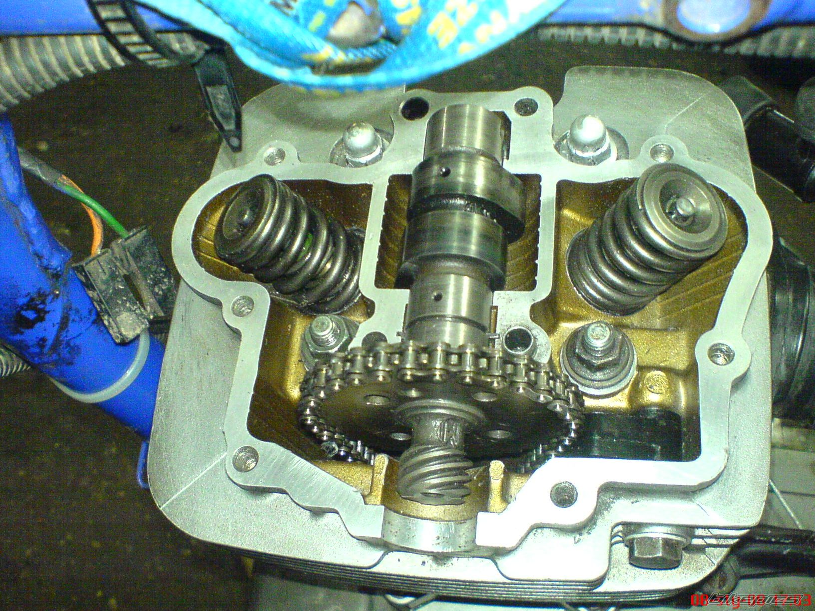 Photo 1141404