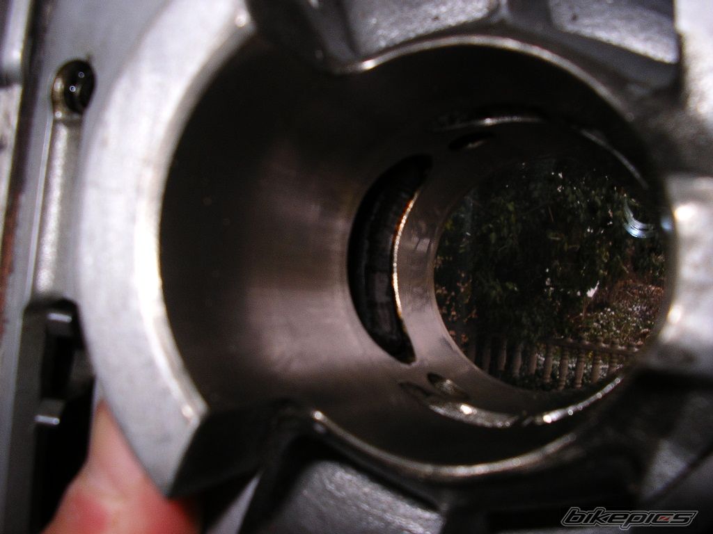Photo 1141418