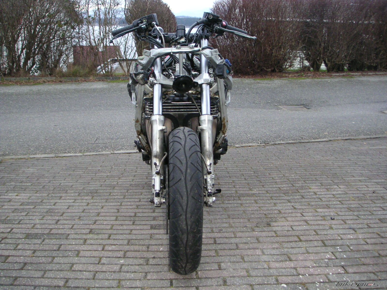 Photo 1141443