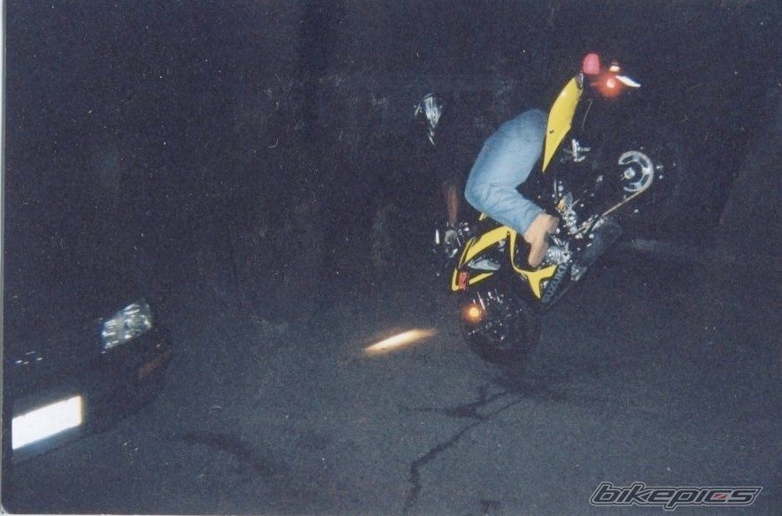 Photo 1141473