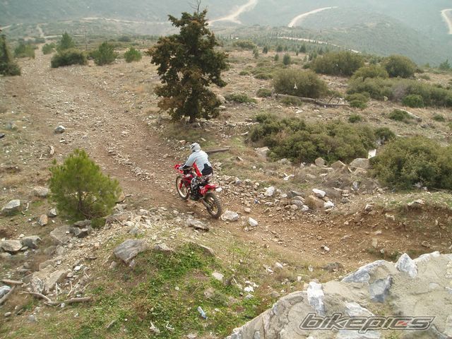 Bike Photo 1141488