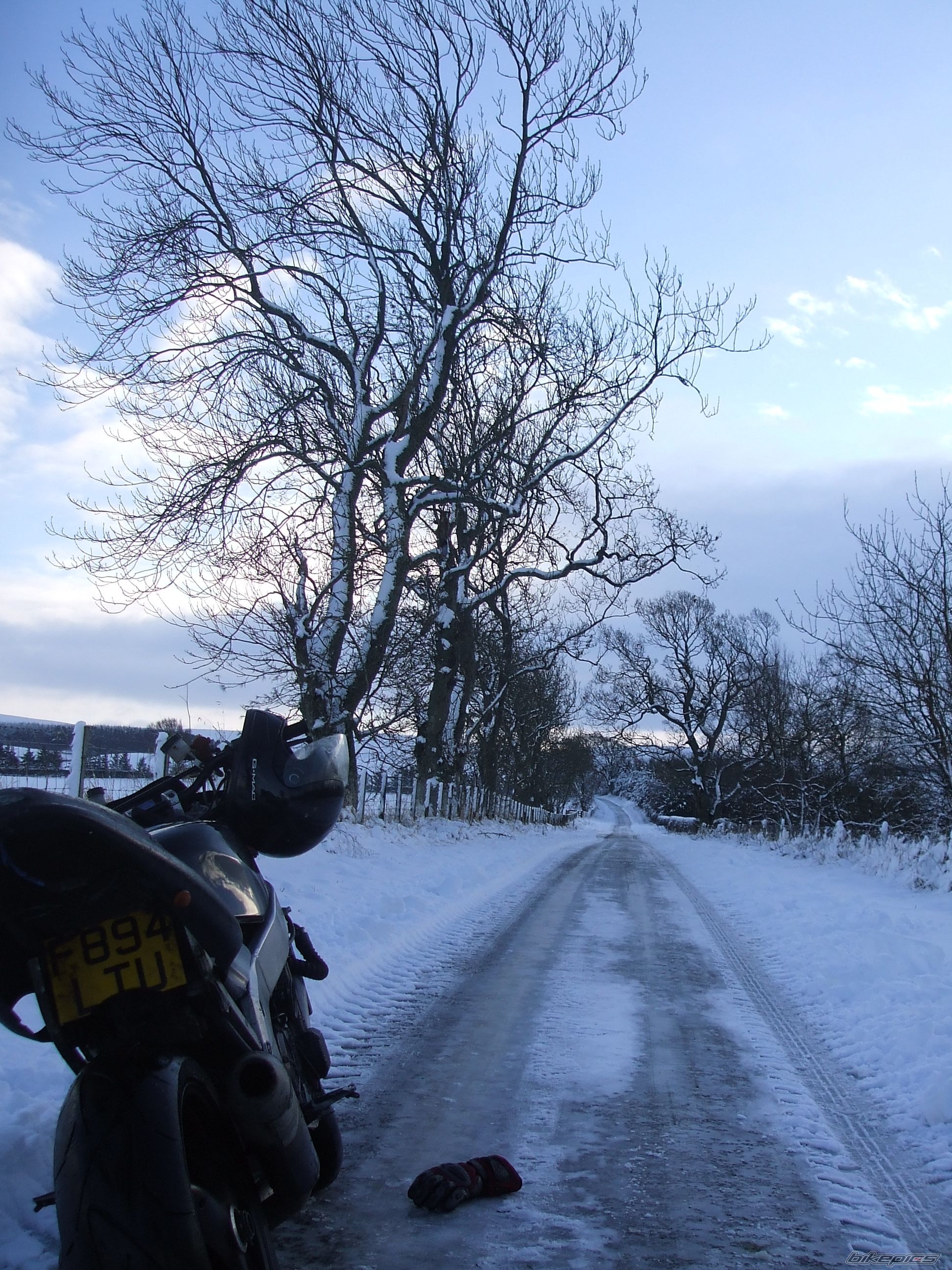 Photo 1141515