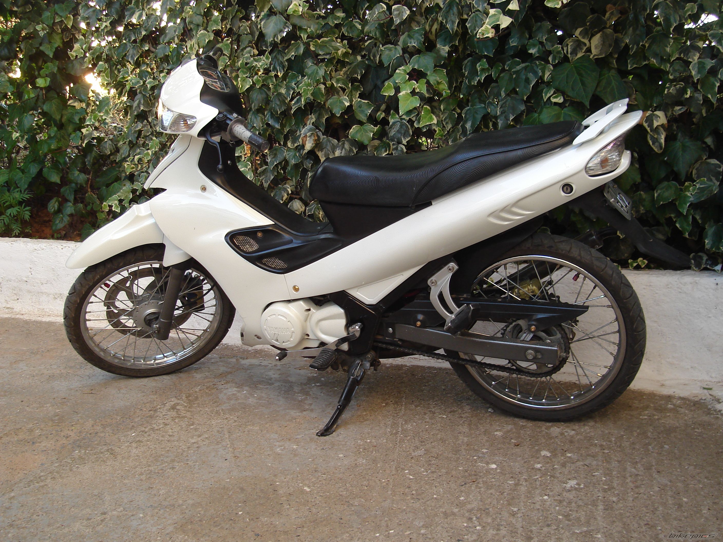 Photo 1141518