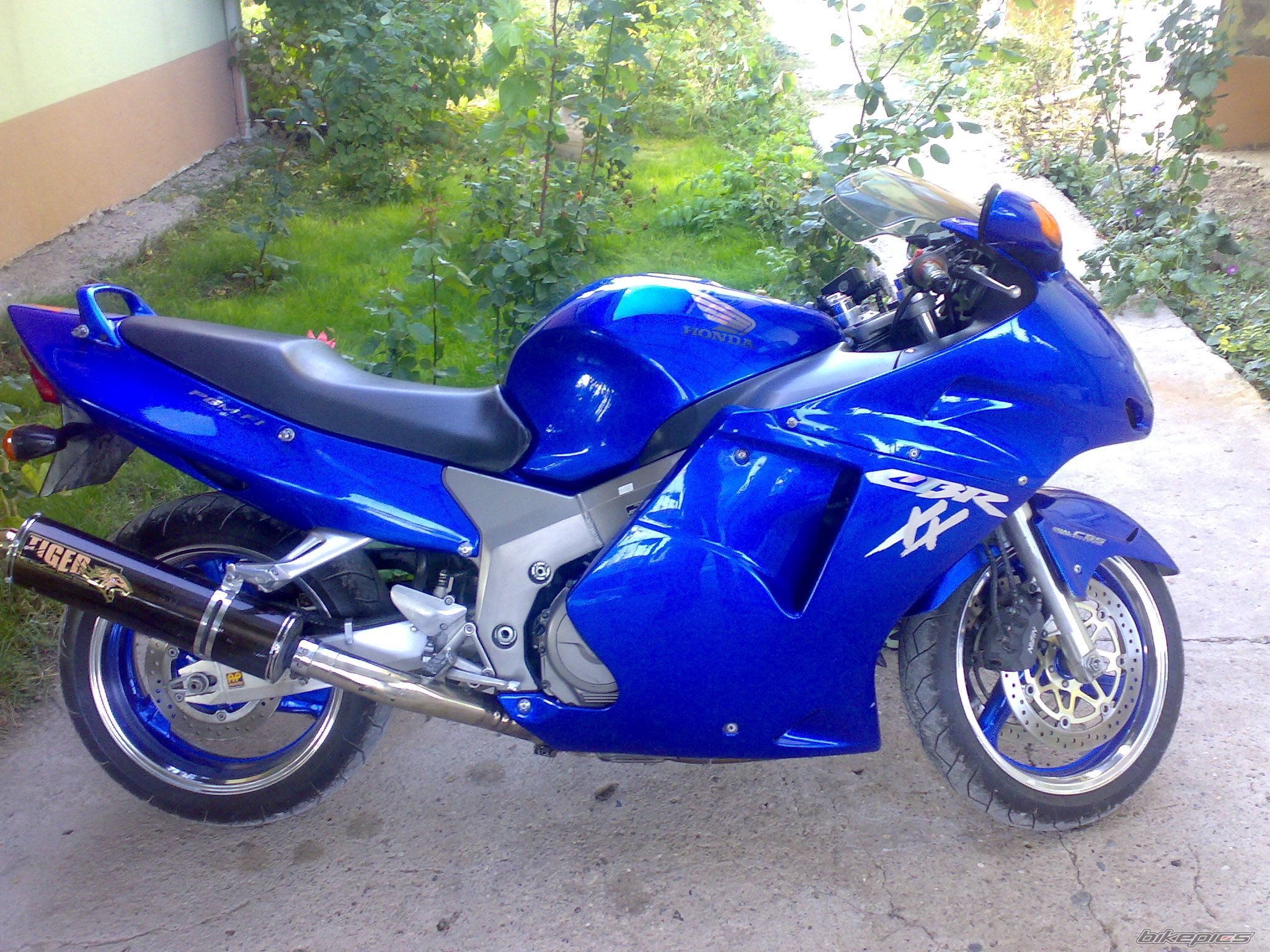 Photo 1141521
