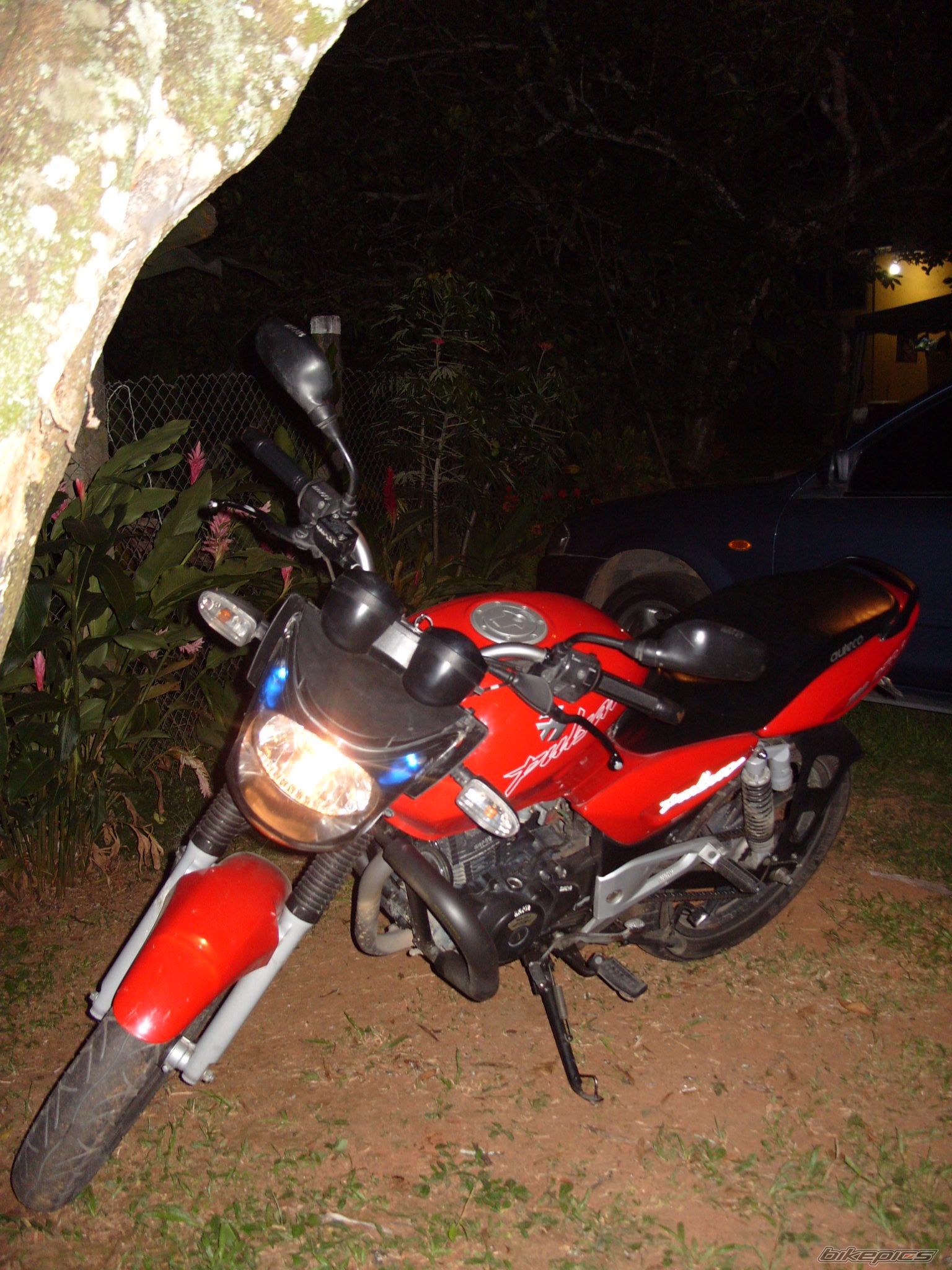 Photo 1141531