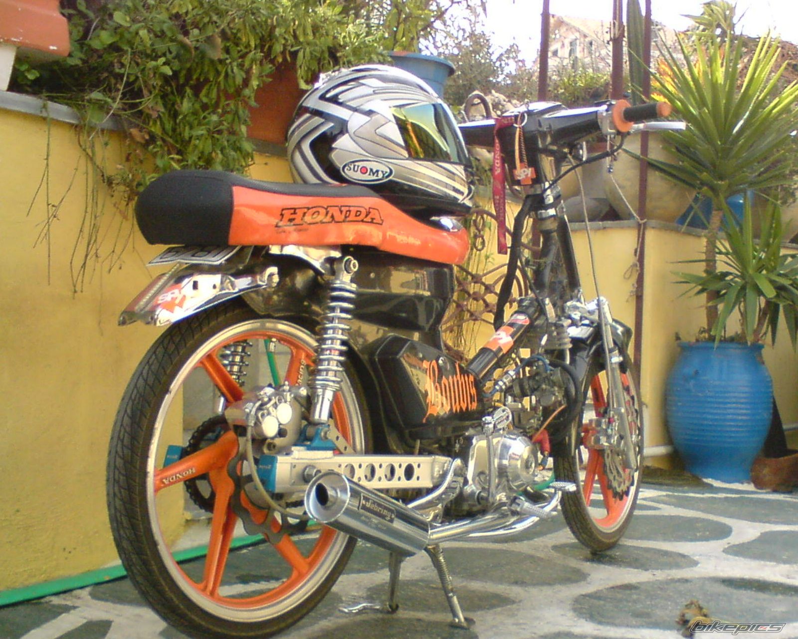Photo 1141559