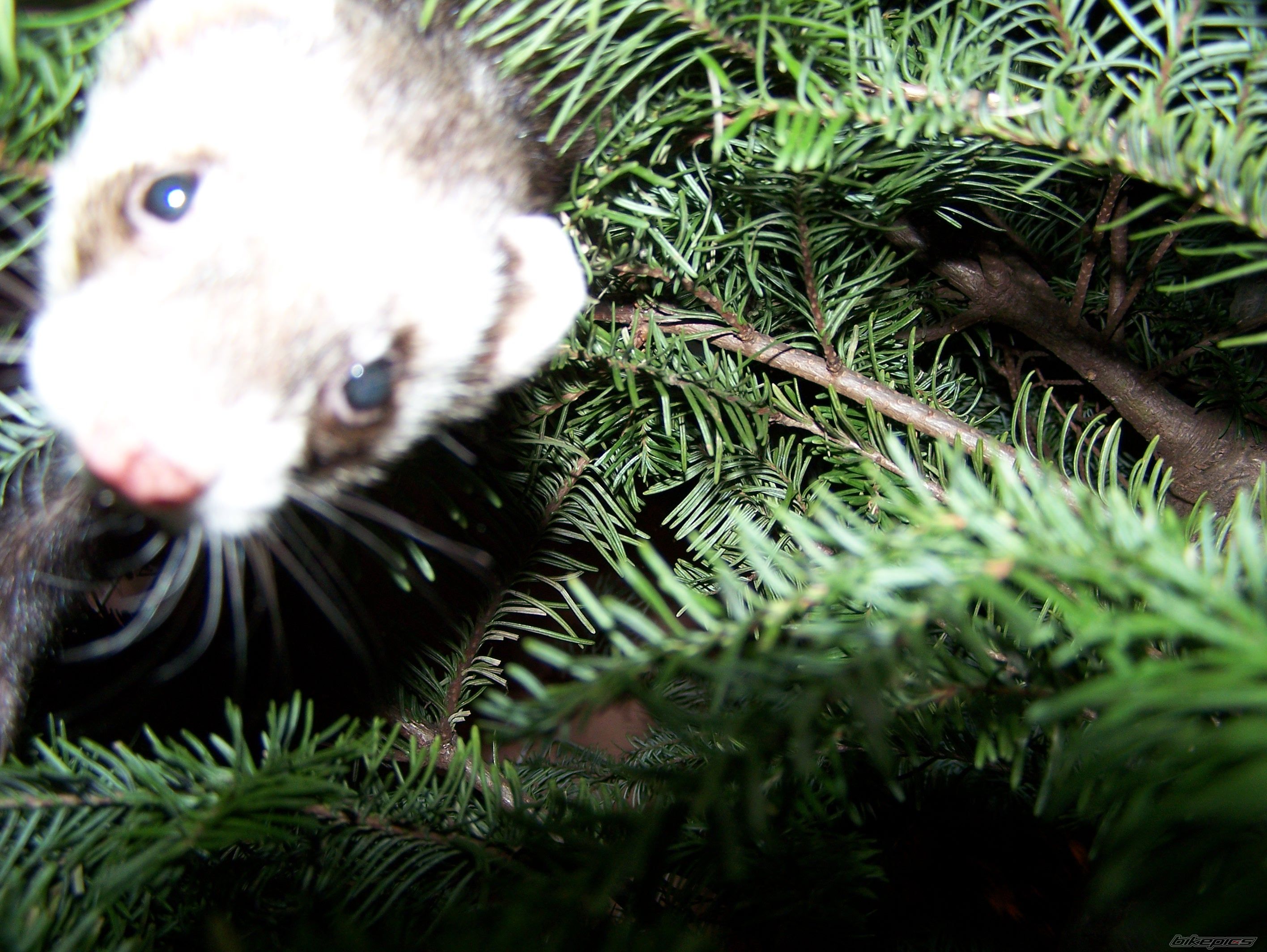 Photo 1141569