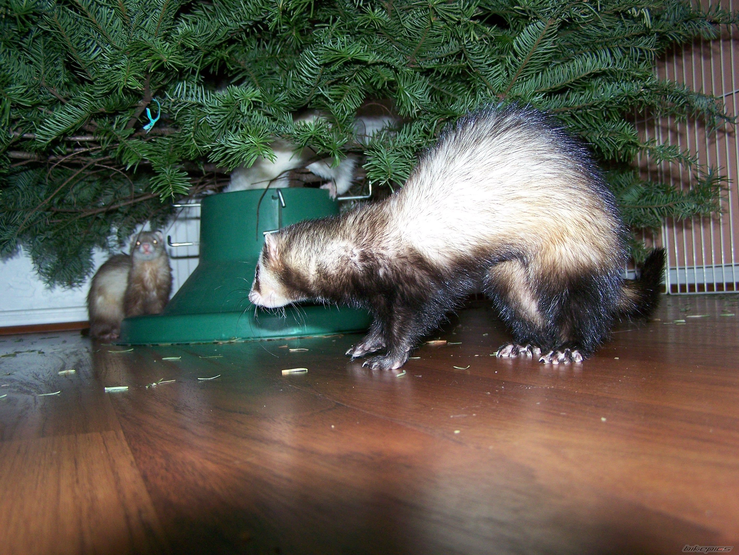 Photo 1141573
