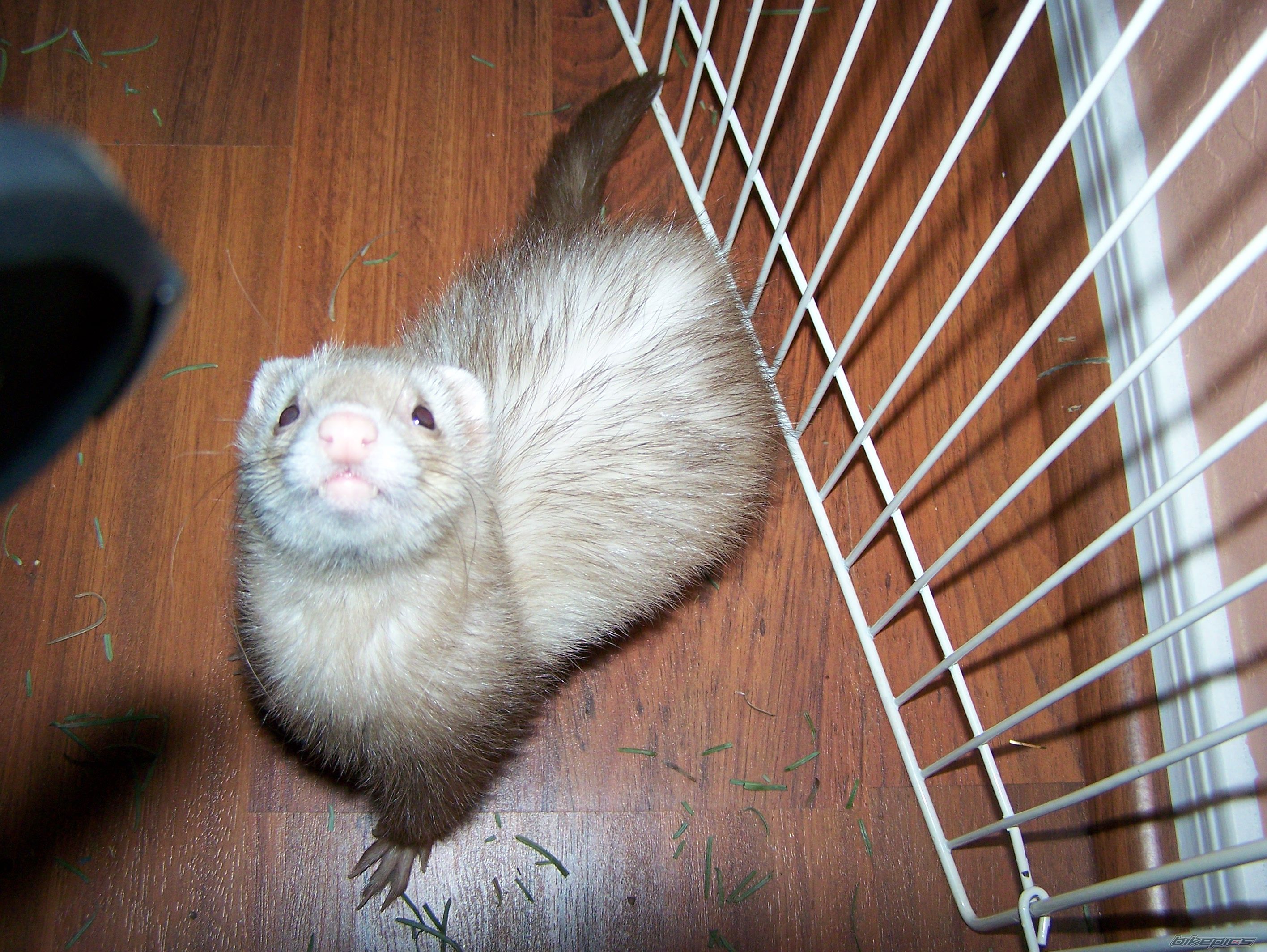 Photo 1141576