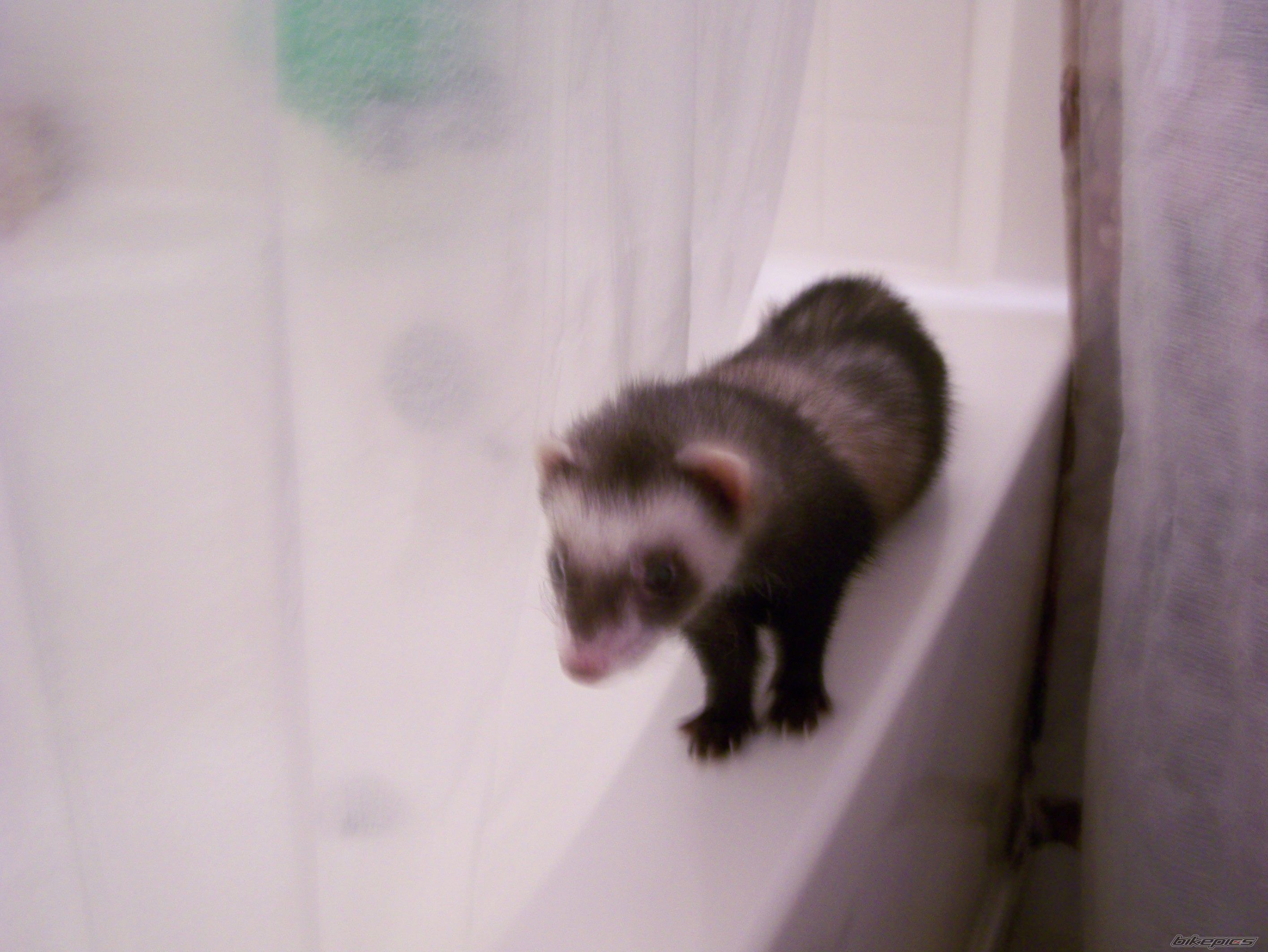 Photo 1141585