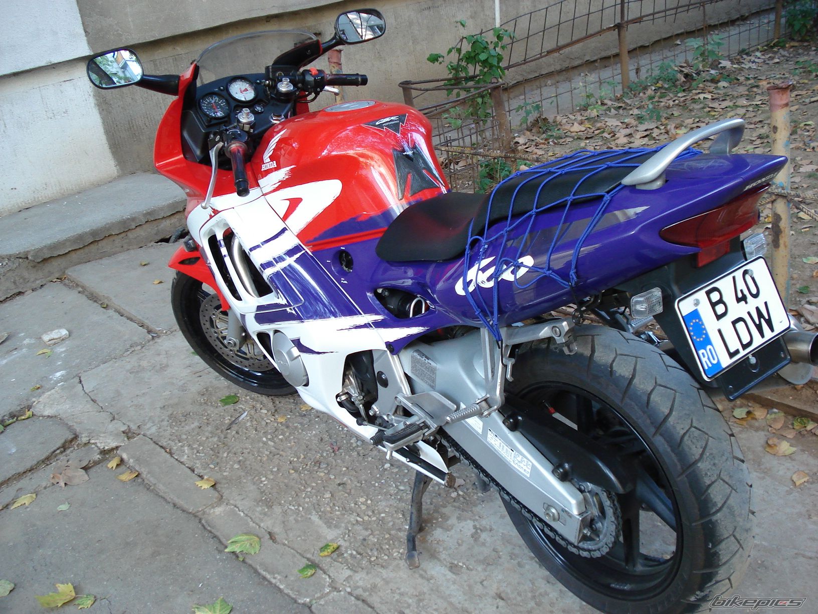Photo 1141695