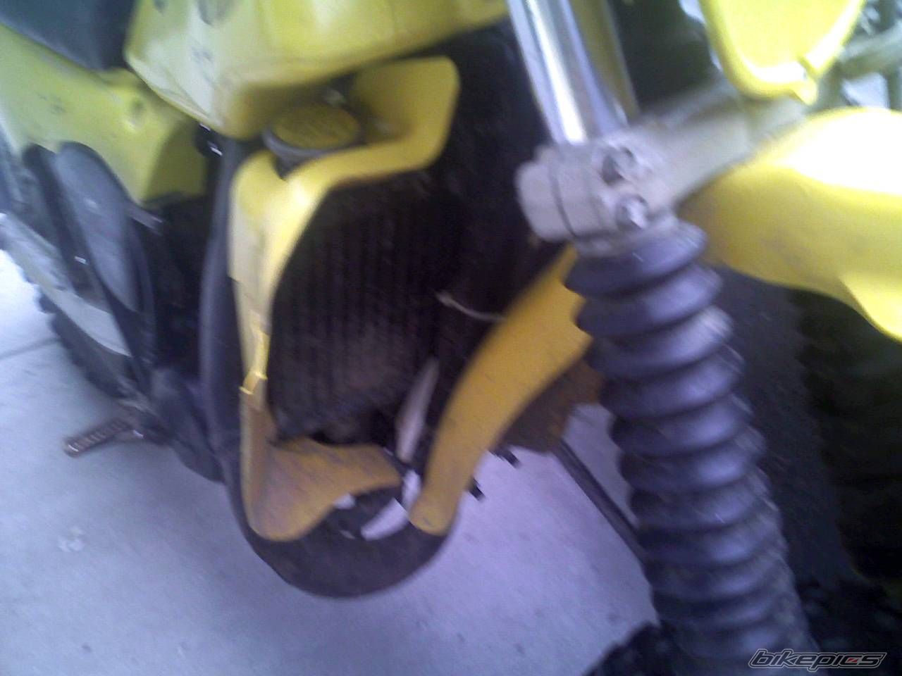 Photo 1141735
