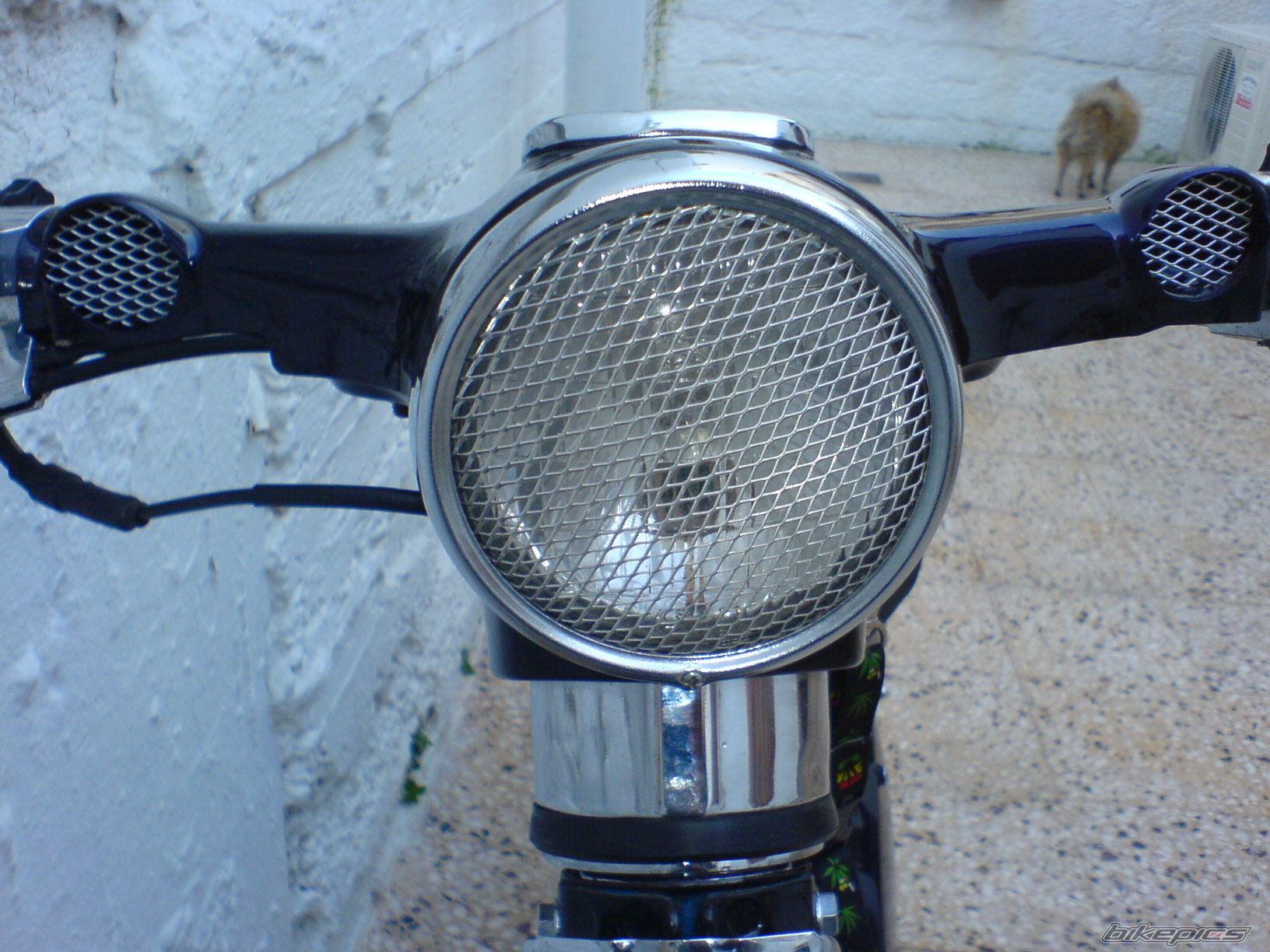Photo 1141784