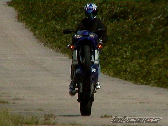 Photo 11419