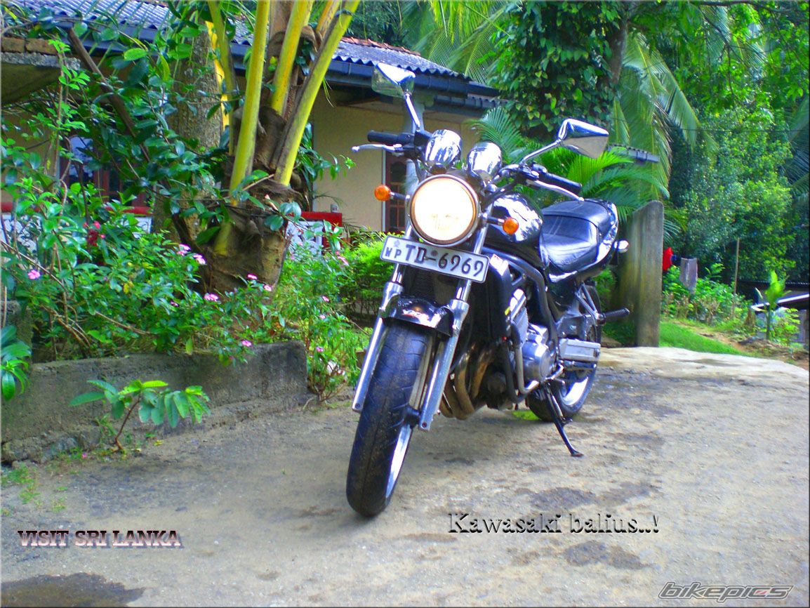 Bike Photo 1141942
