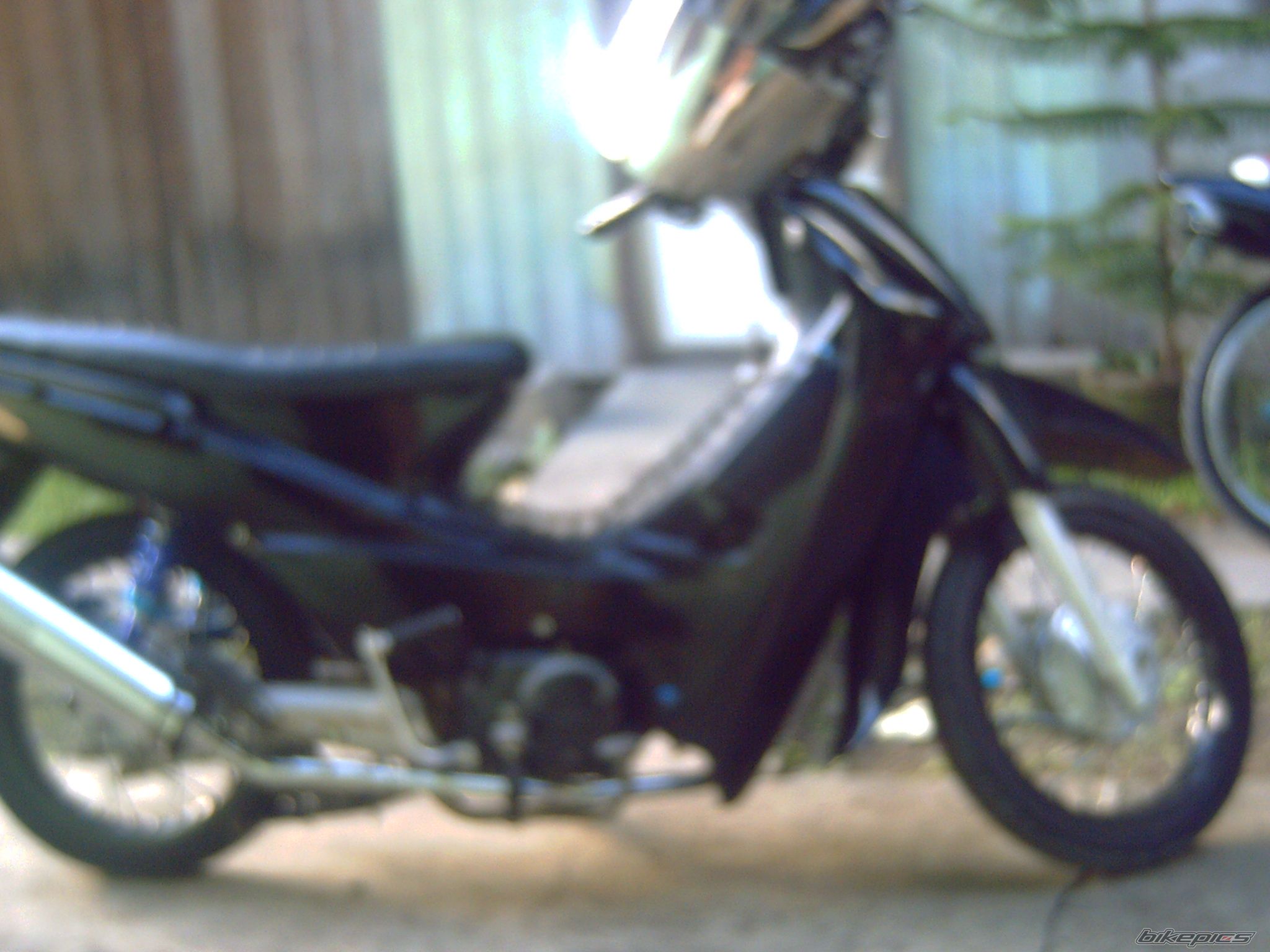 Photo 1141965