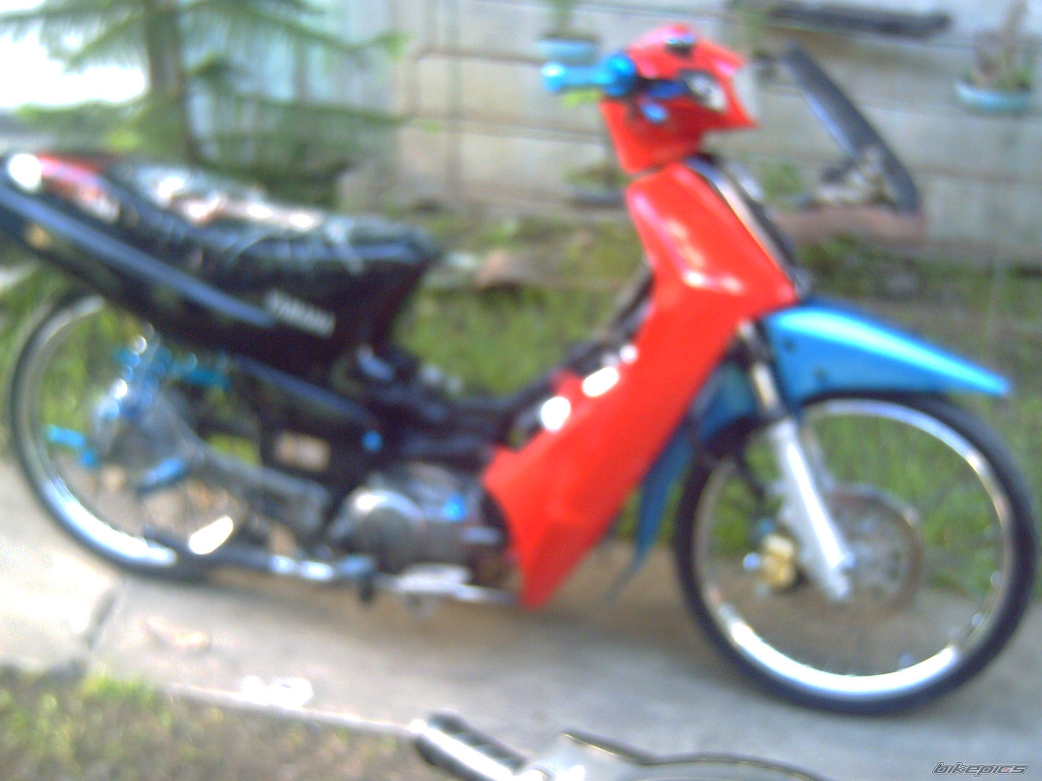 Photo 1141966