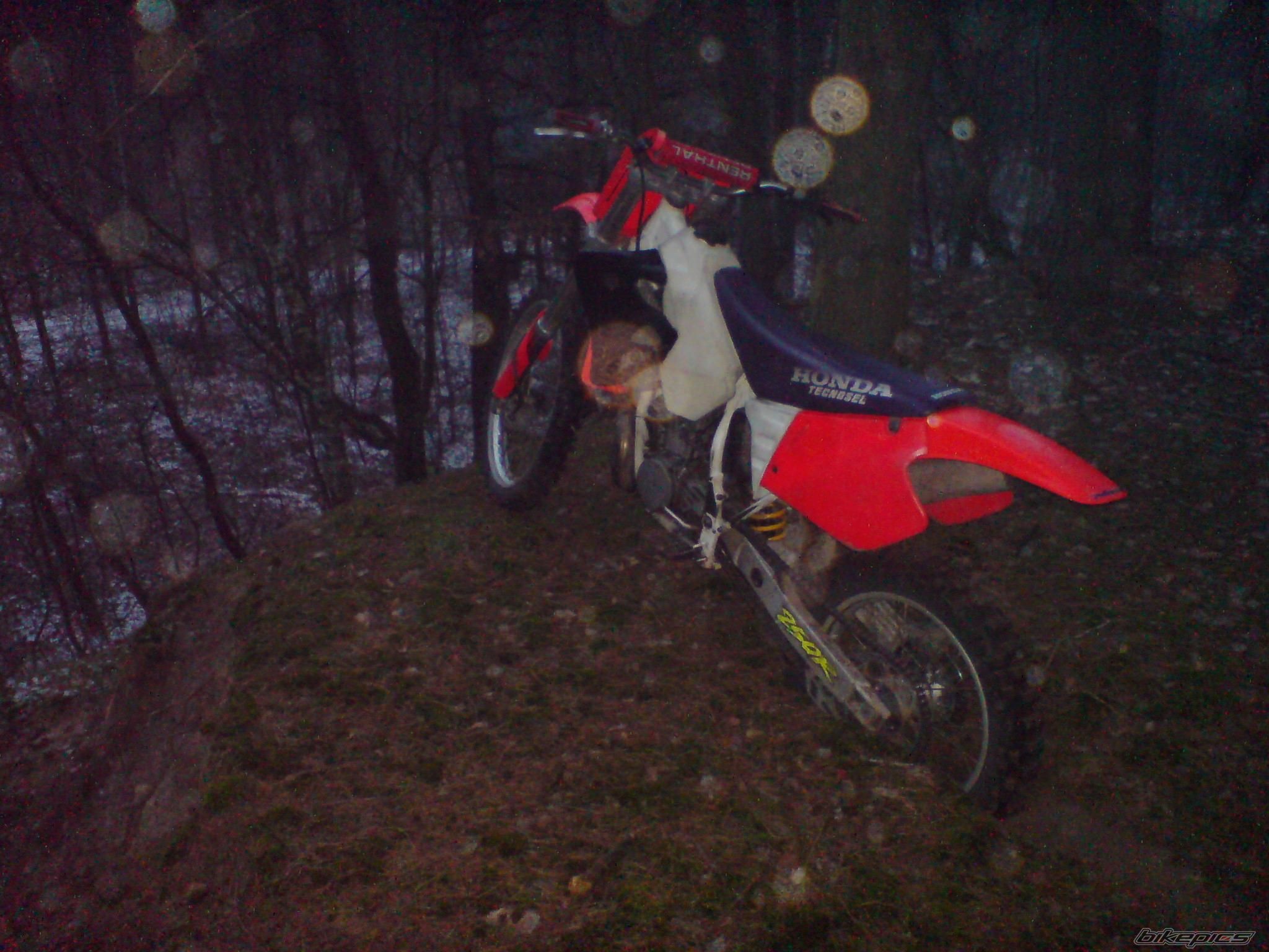 Photo 1141993