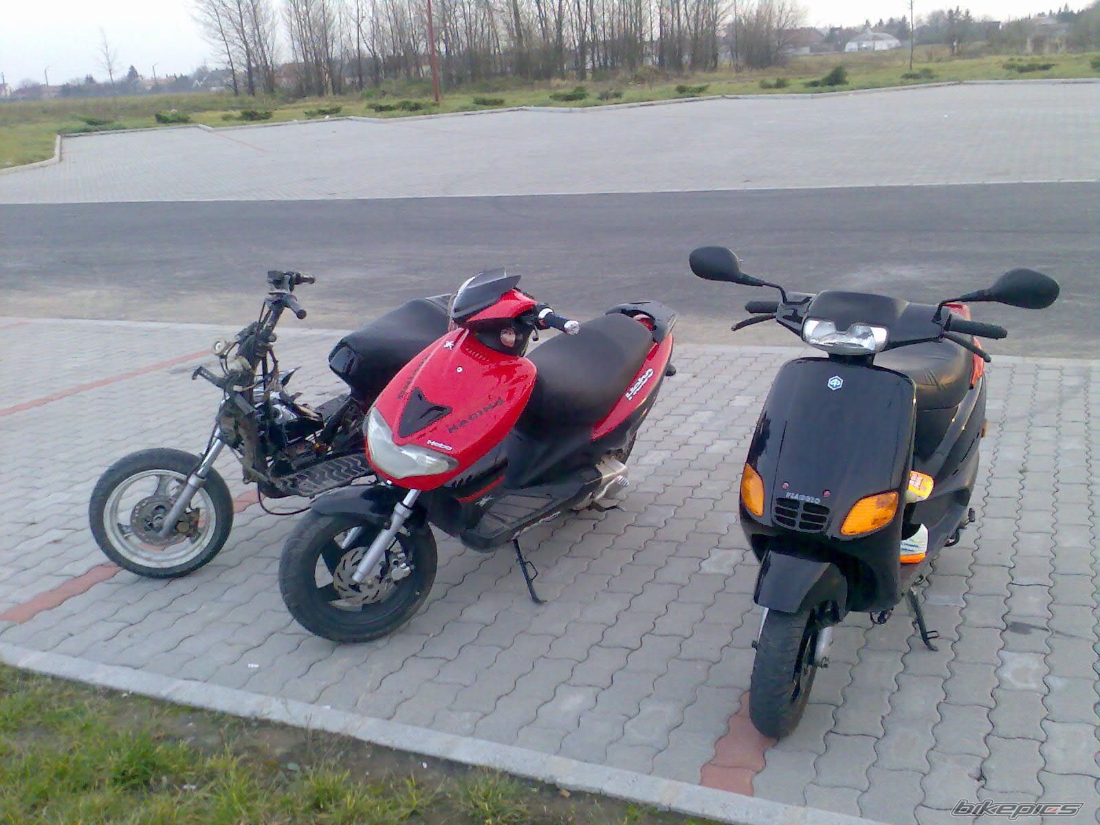 Photo 1142035