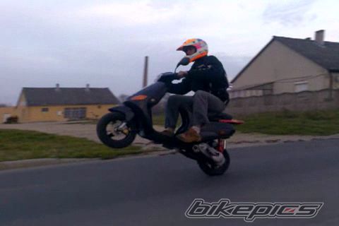 Photo 1142041