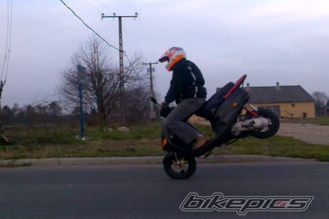 Photo 1142044