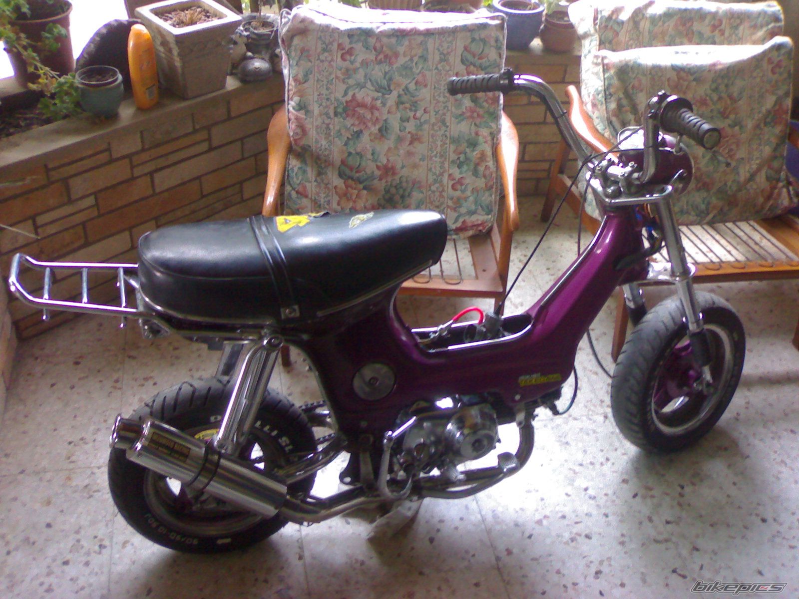 Photo 1142059