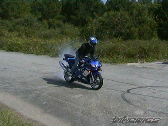 Photo 11421