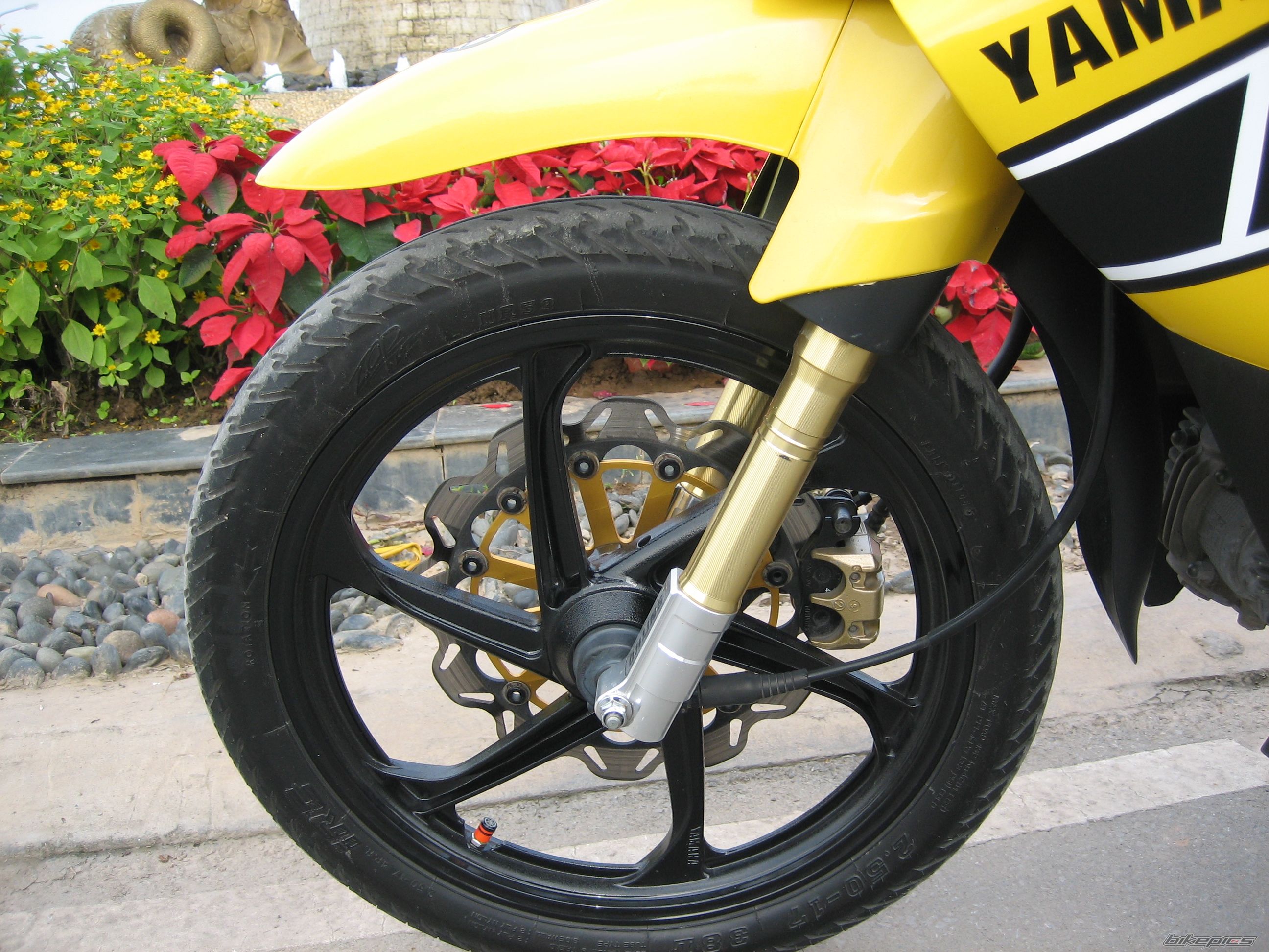 Photo 1142125