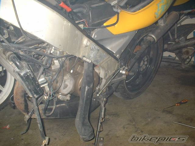 Photo 114213