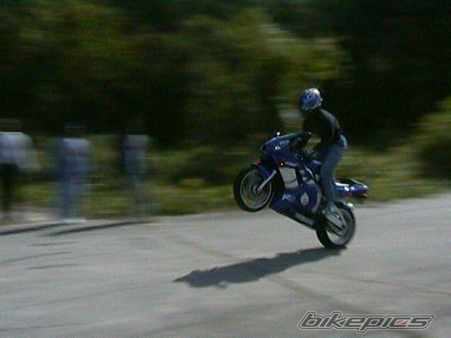 Photo 11422