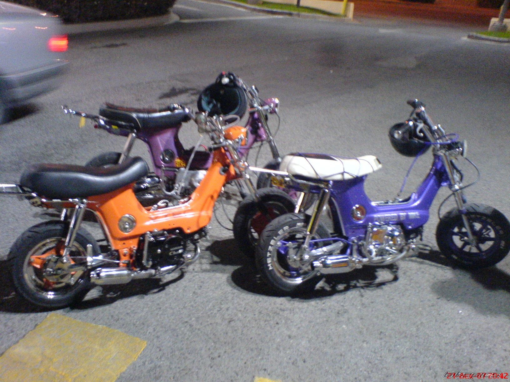 Photo 1142233