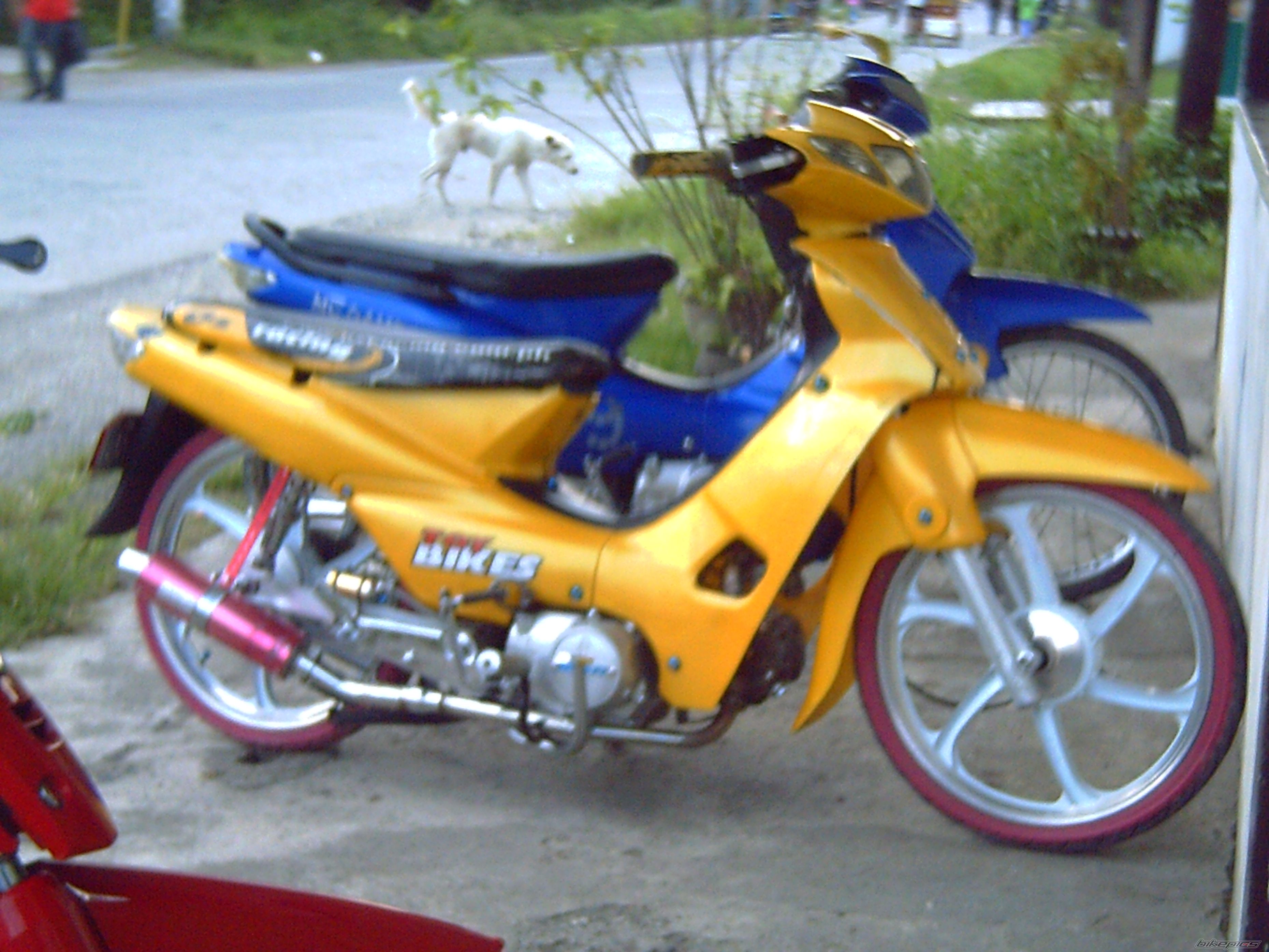 Photo 1142234