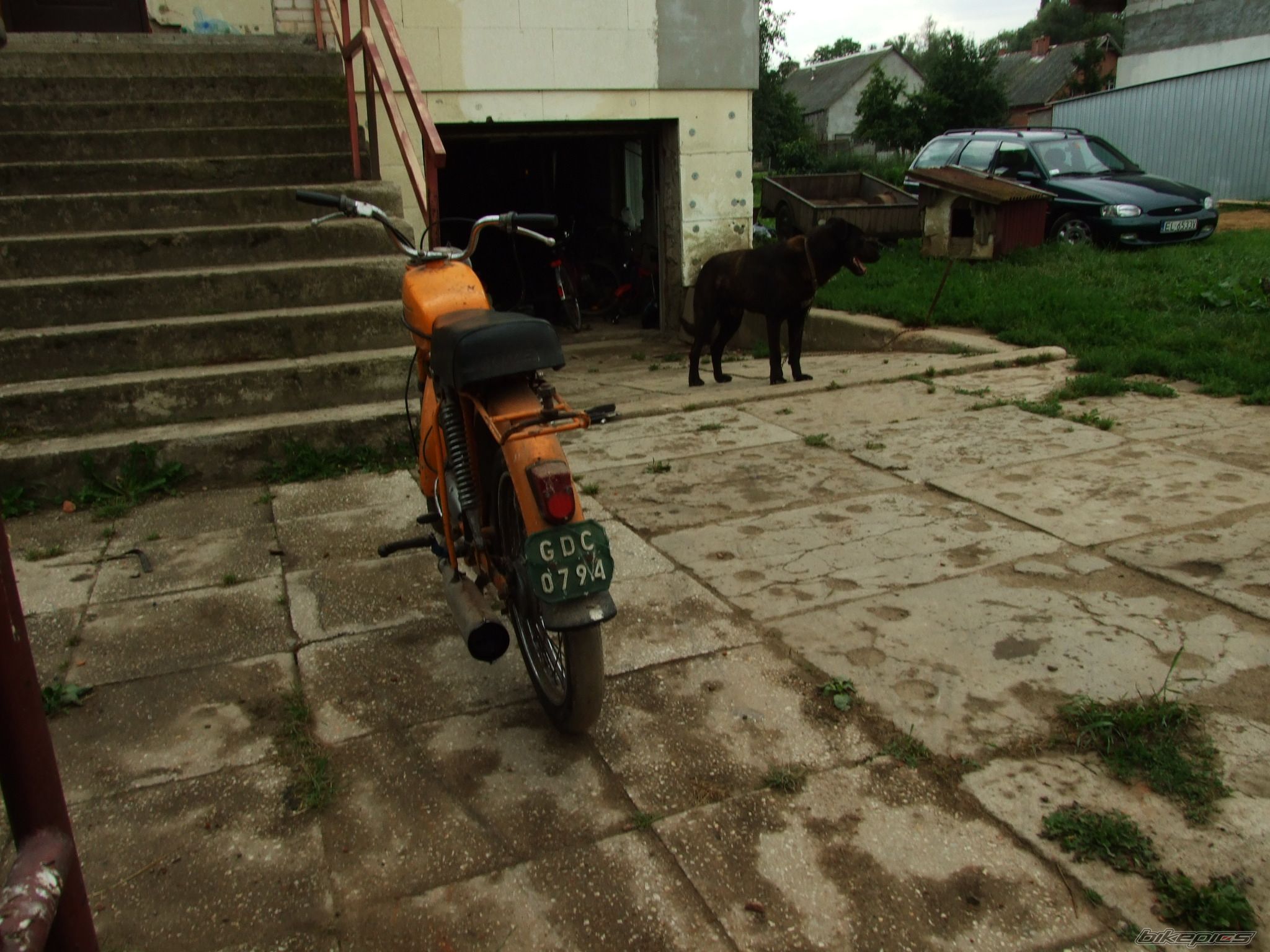 Photo 1142355