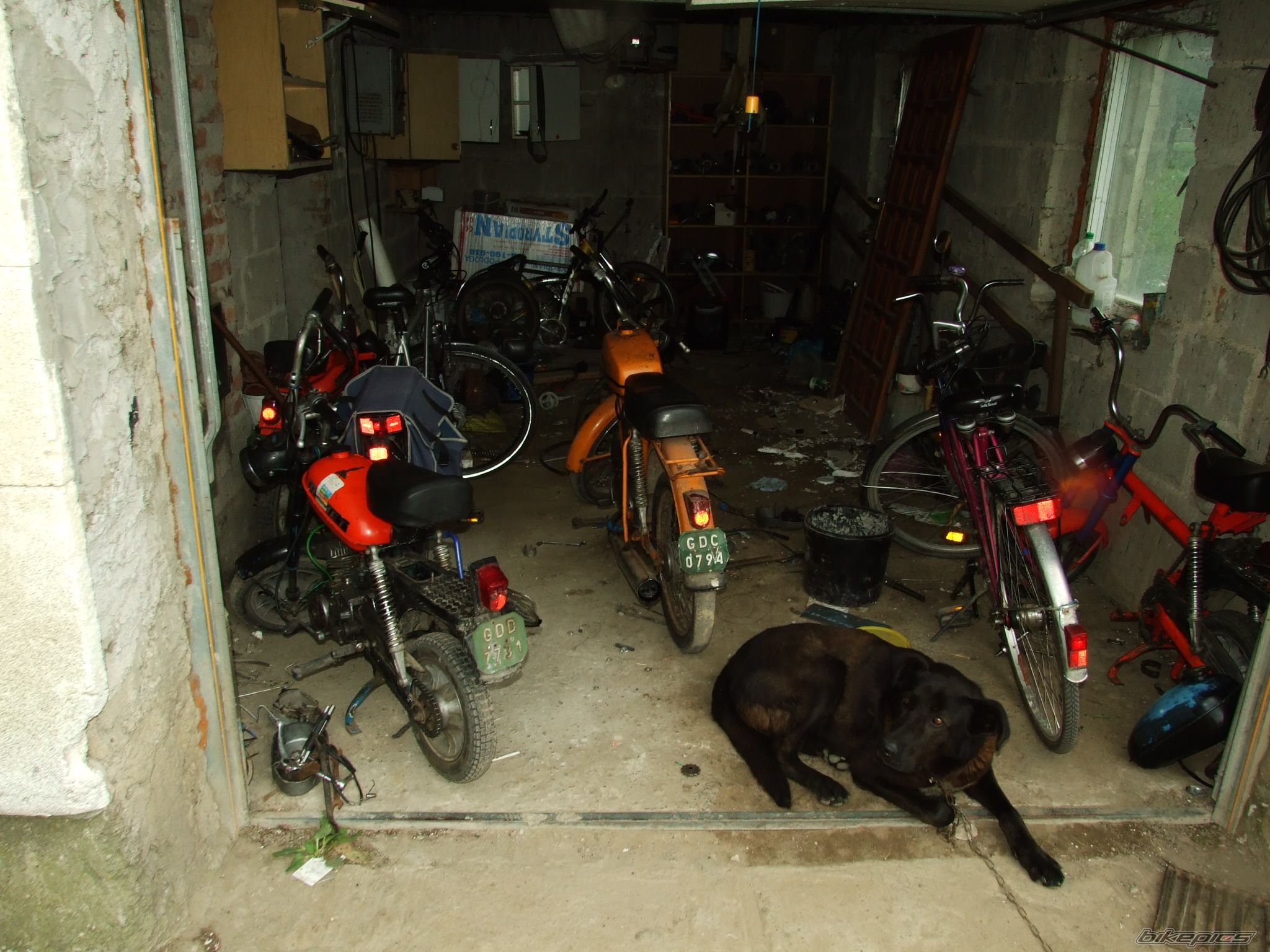 Photo 1142357