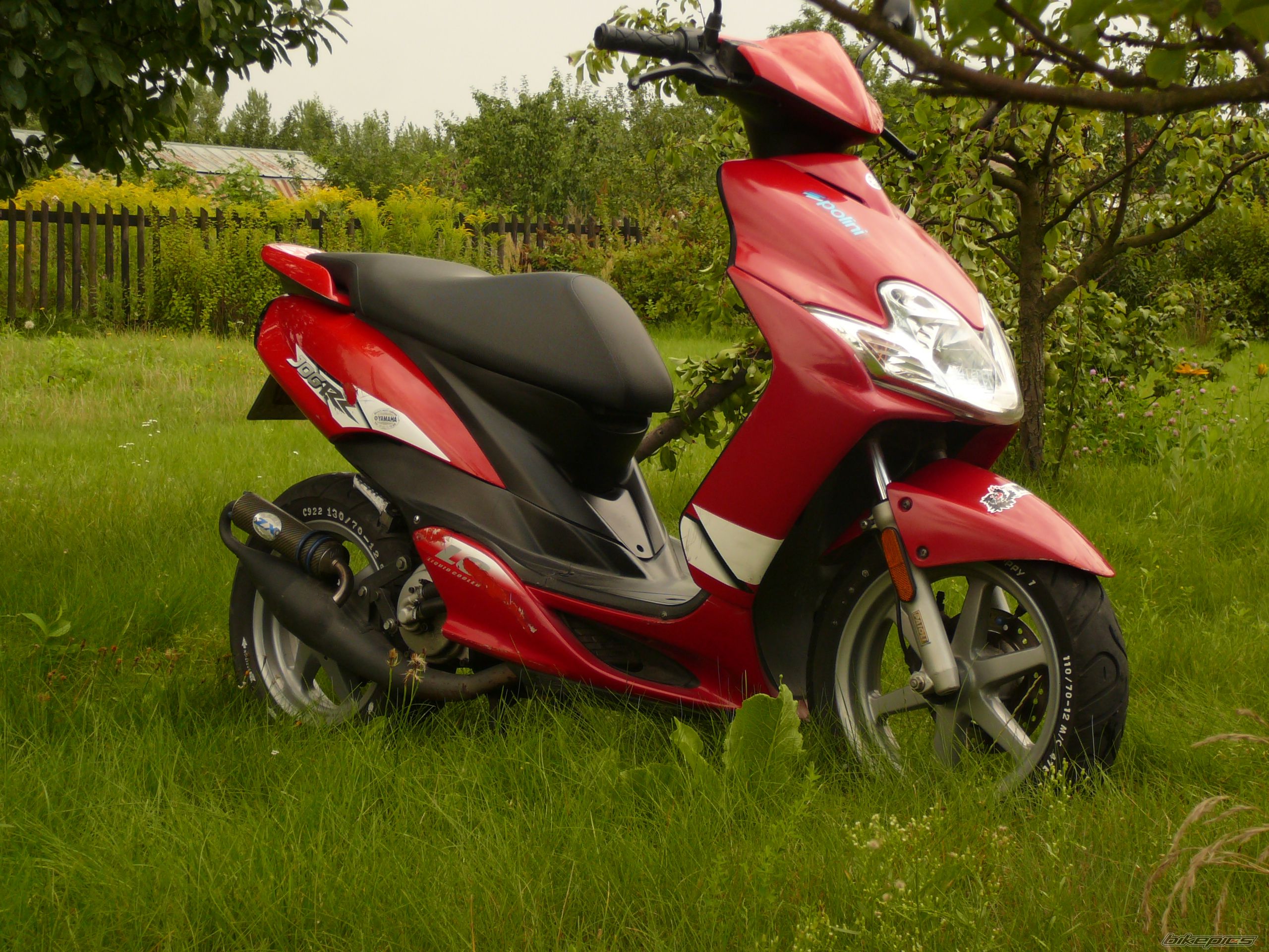 Photo 1142372