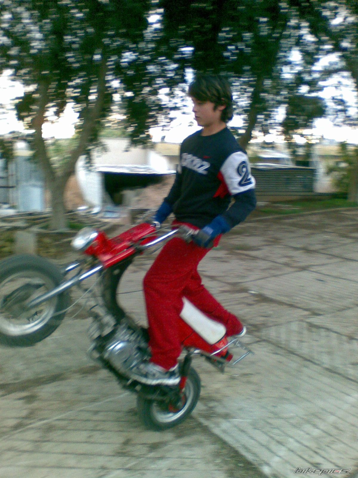 Photo 1142400