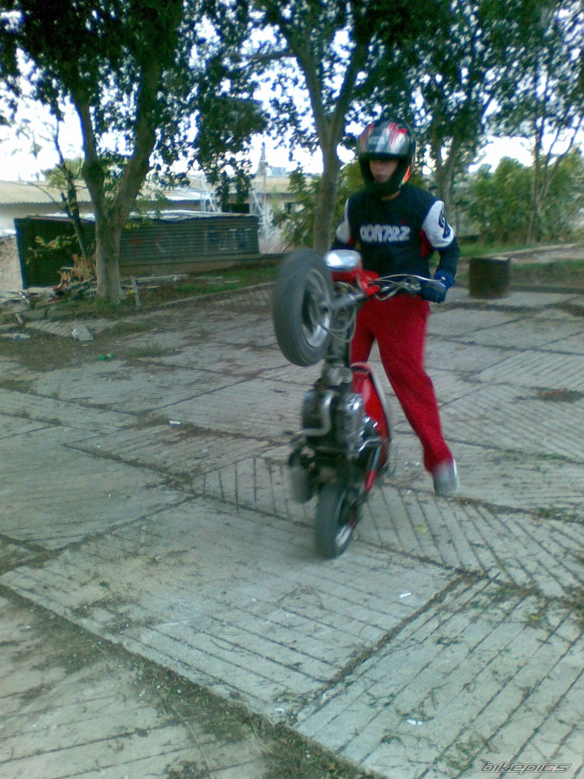 Bike Photo 1142412