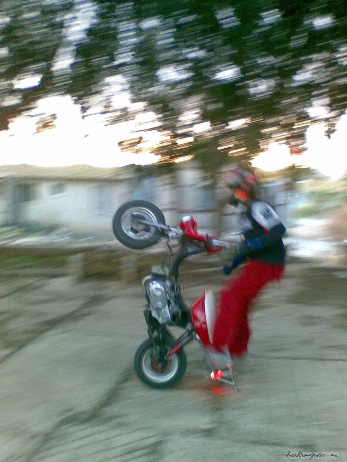 Photo 1142415