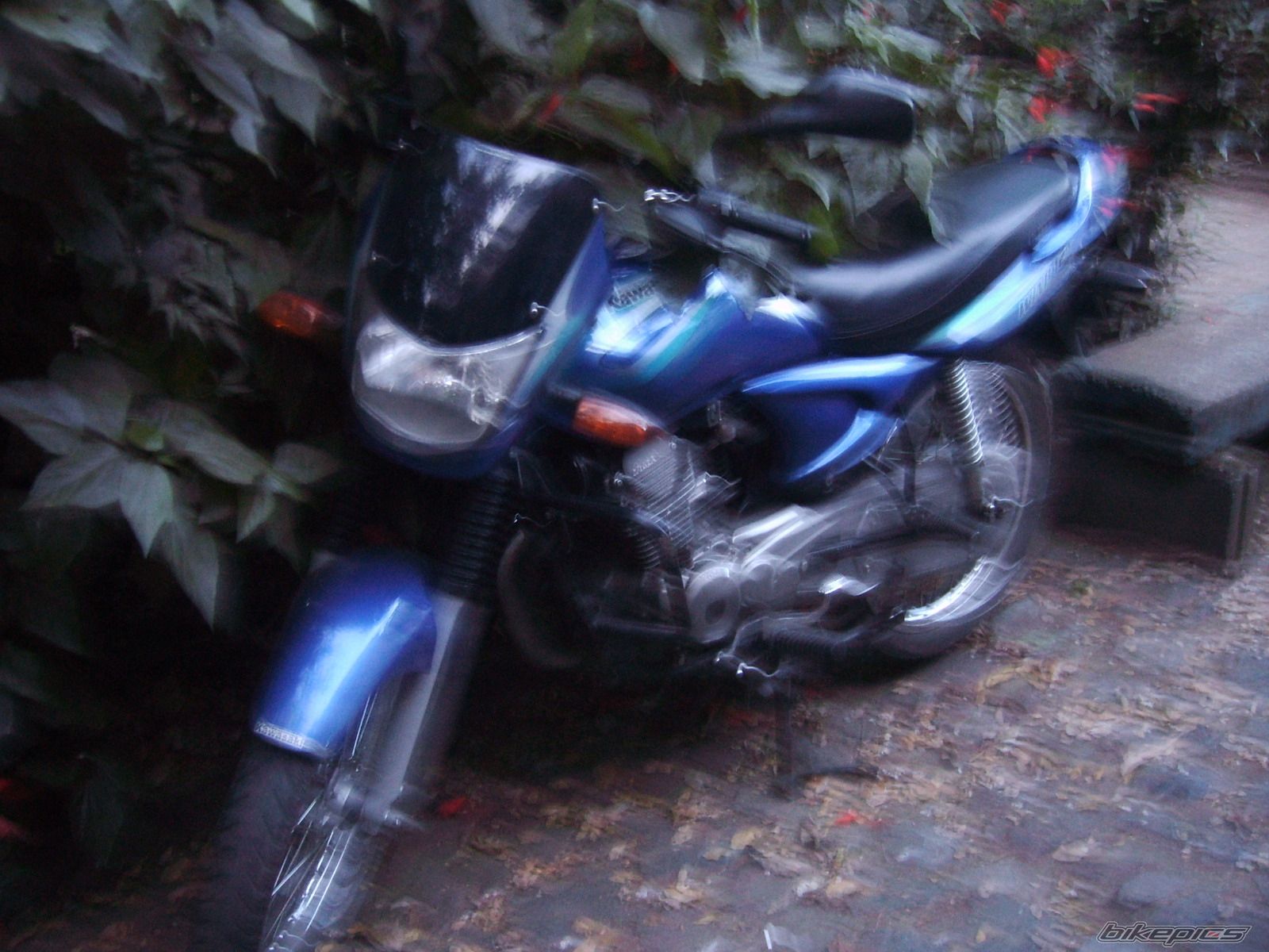 Photo 1142512