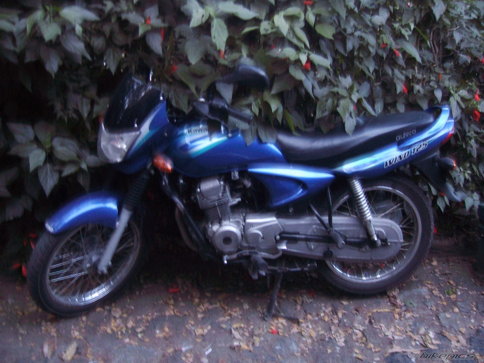 Photo 1142513