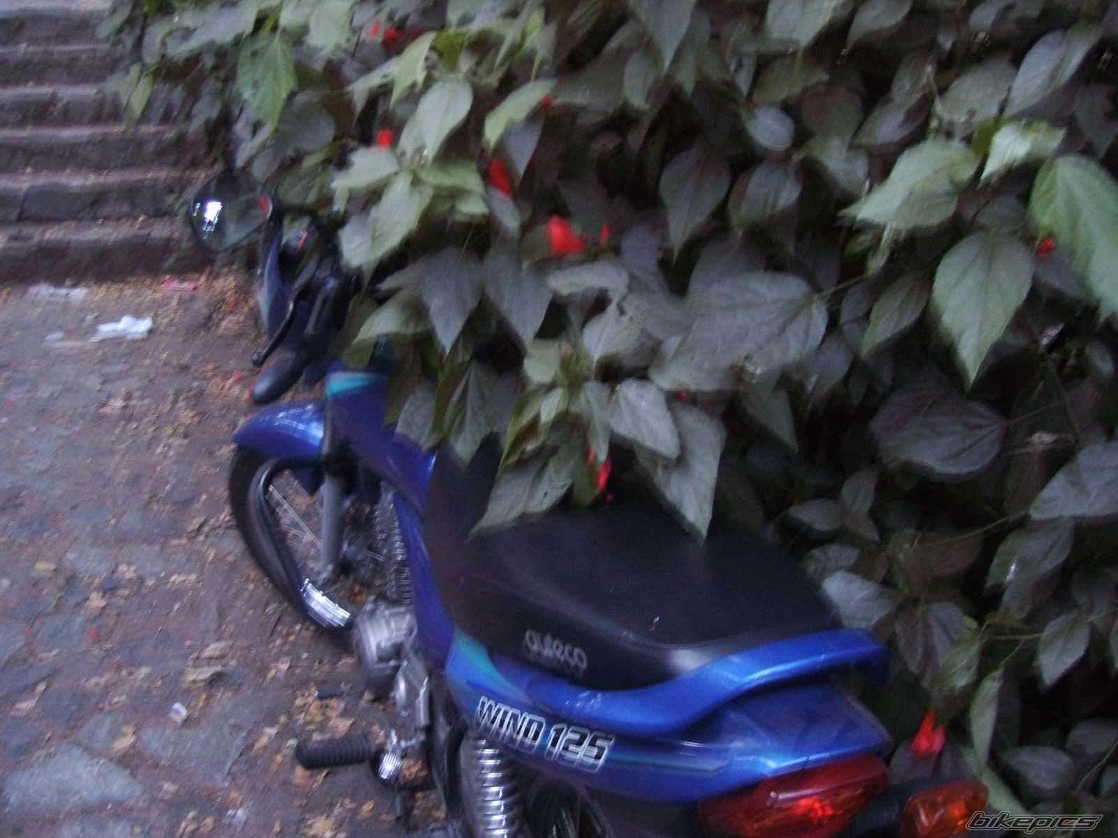 Photo 1142515